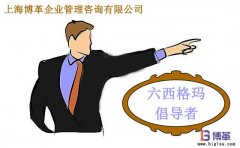 六西格瑪管理中倡導(dǎo)者的職責(zé)是什么？